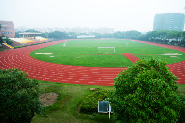 学校运动会背景板