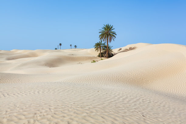 desert