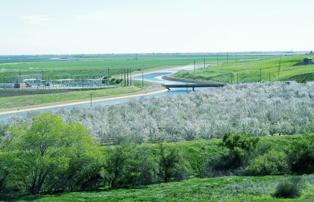 田园湿地景观设计