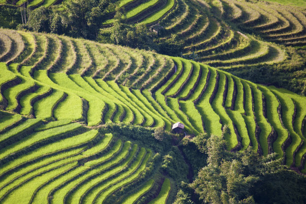 昆明陆地