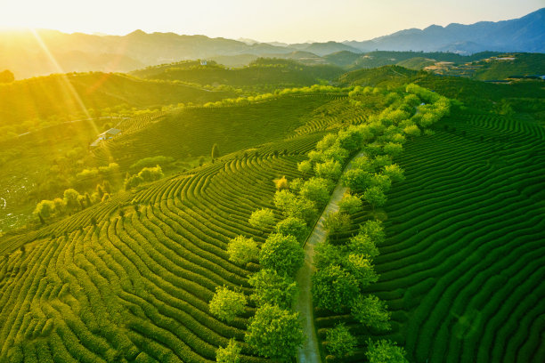 fujian