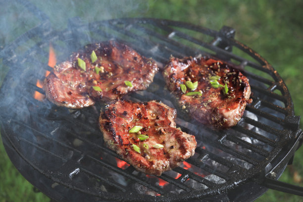 肉,炊具,嫩里脊排,炸肉排,格子烤肉,水平画幅,法国小牛排,无人,排骨