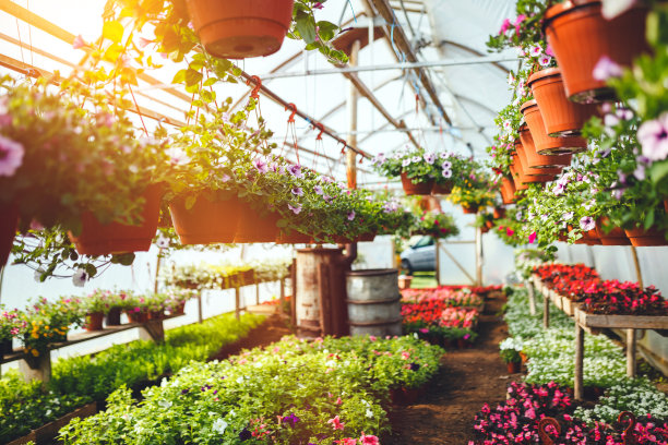 greenhouse