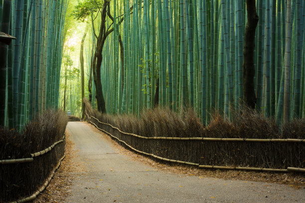 京都