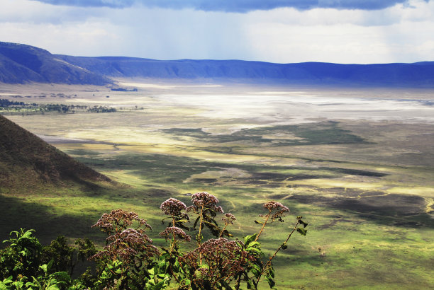 ngorongoro