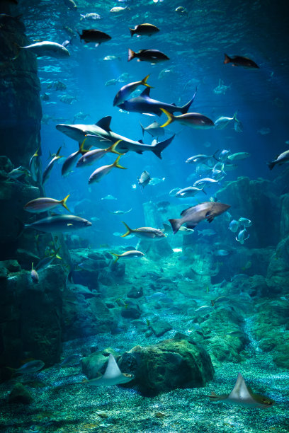 aquarium
