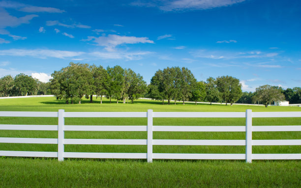 fence