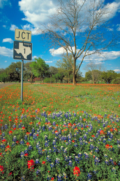texas