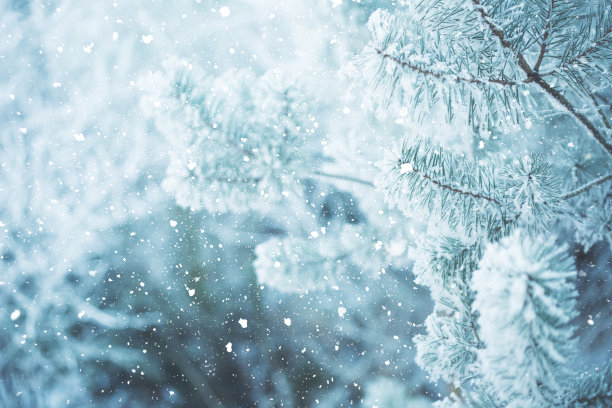 冬天冬日白色雪景