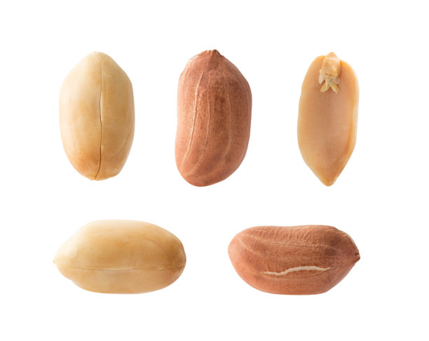 peanut