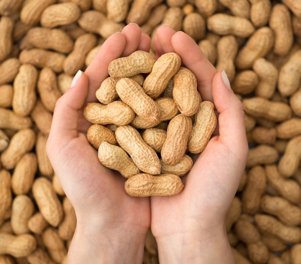 earthnut