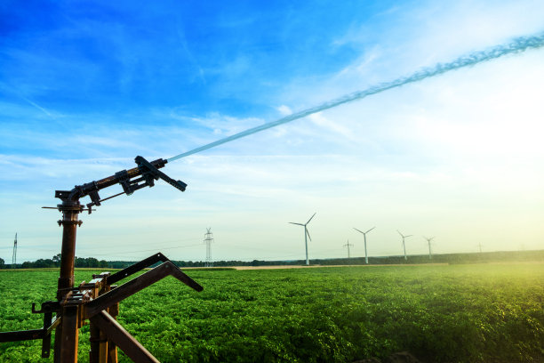 irrigation