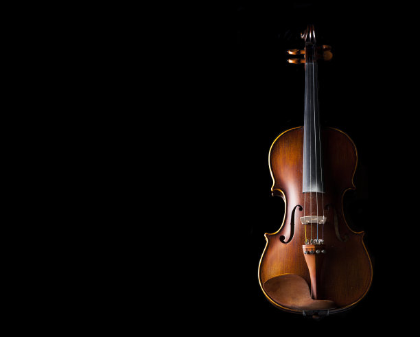 violin