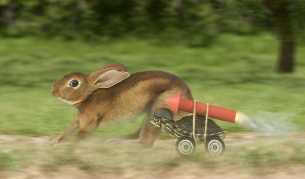 奔跑兔子