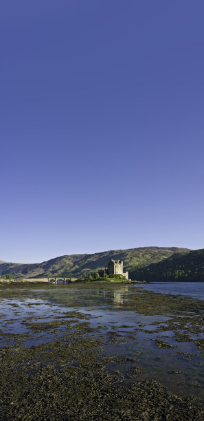 donan