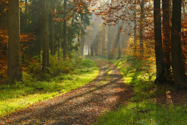 autumn