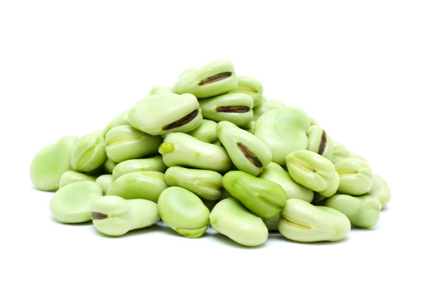 legume