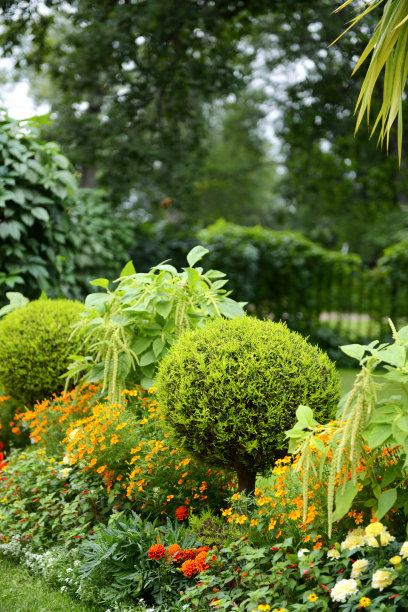 foliage