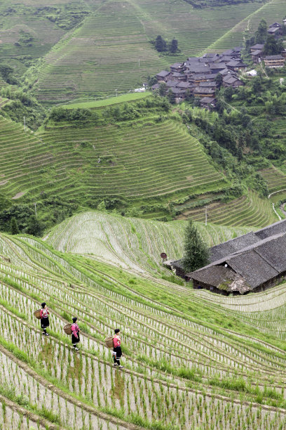 瑶族旅游