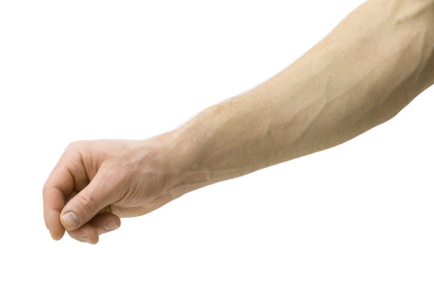 arms