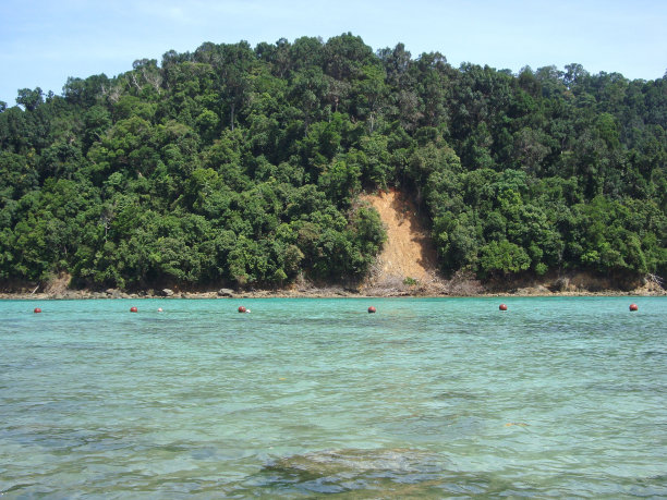 sapi