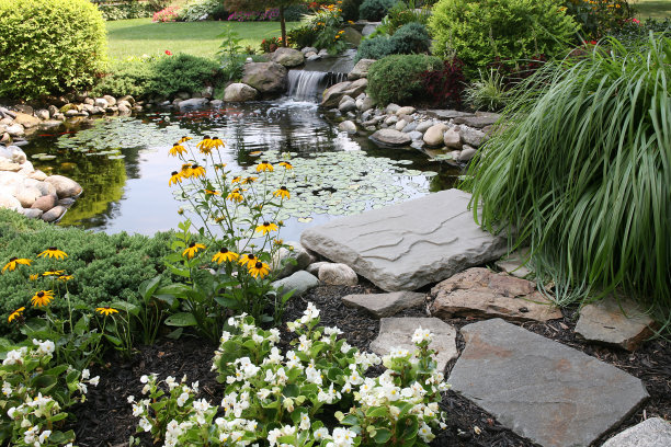 ponds