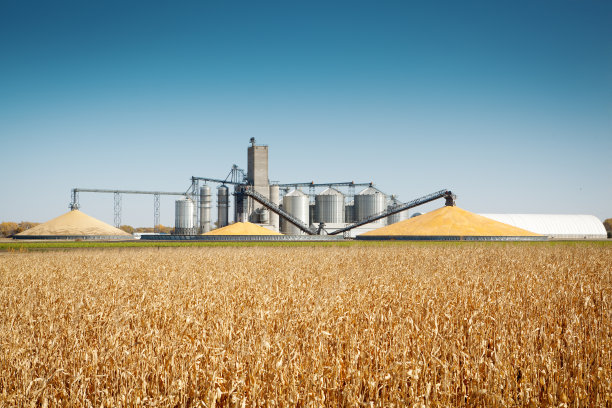 harvest