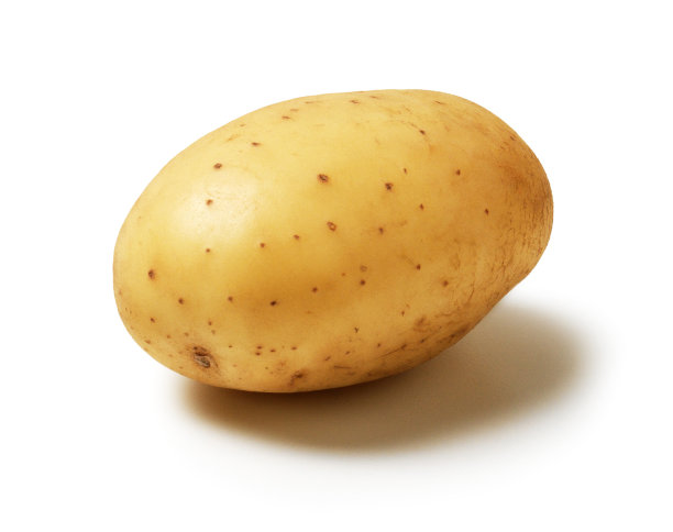 马铃薯土豆