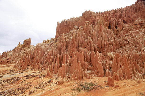 madagascar