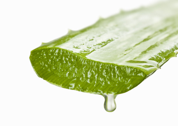 aloe