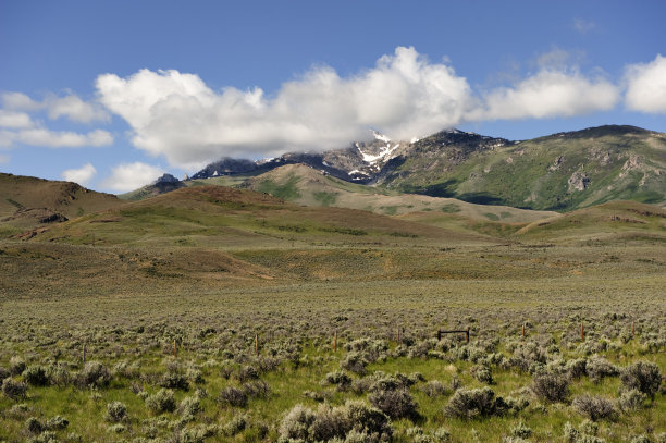 elko
