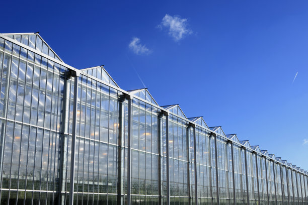 greenhouse