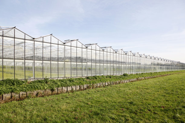 greenhouse