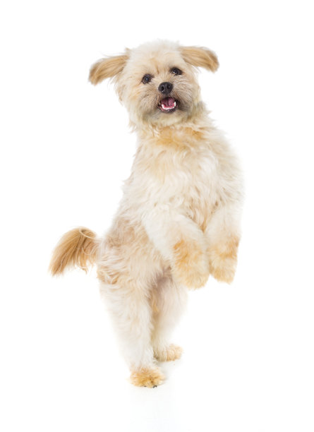 leaping