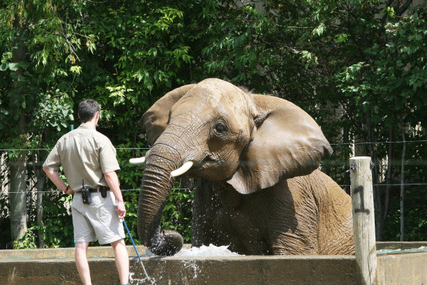 zoo