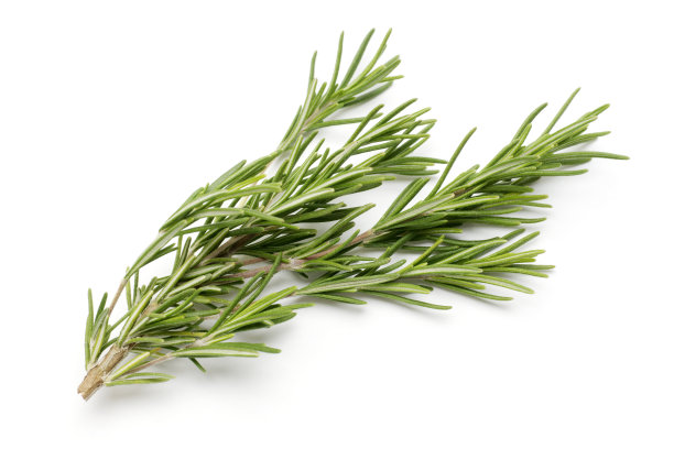 rosemary