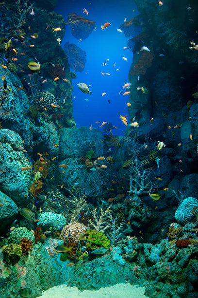 aquarium