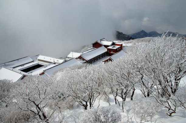 泰山下雪