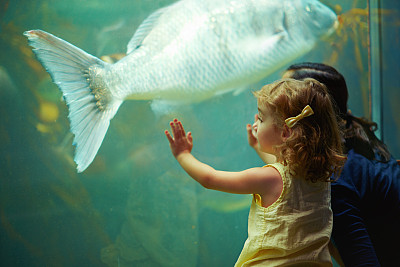 aquarium