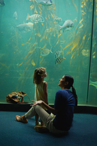 aquarium