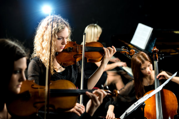 violin