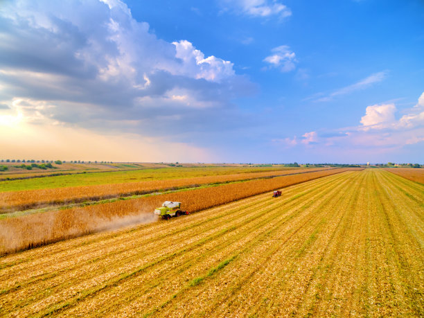 harvest