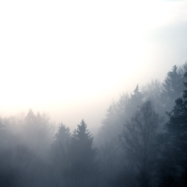 早晨的雾霾天