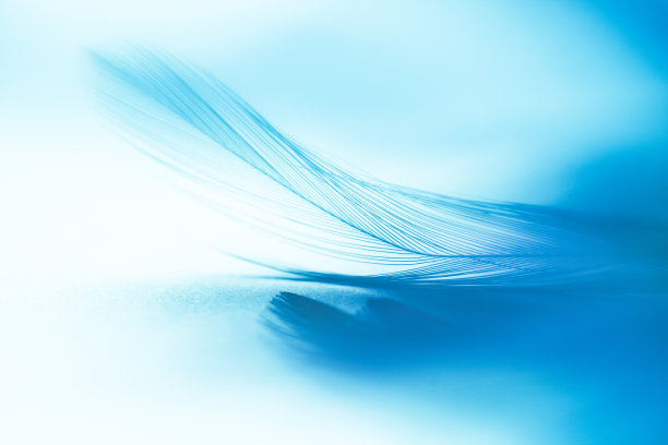 feather