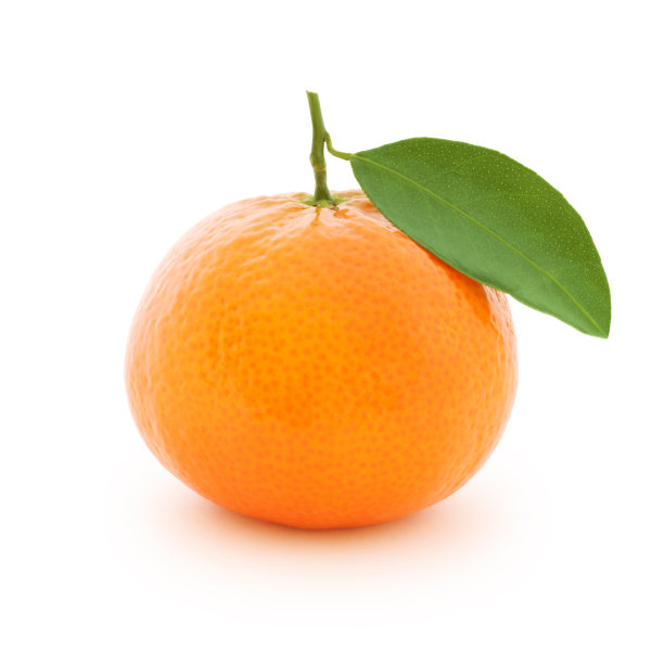 橘叶
