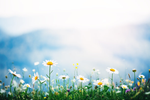 springtime