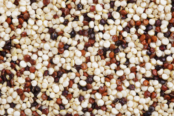 quinoa