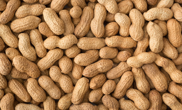 earthnut