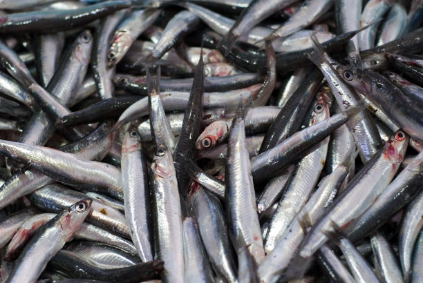 aji