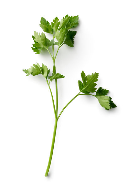 celery